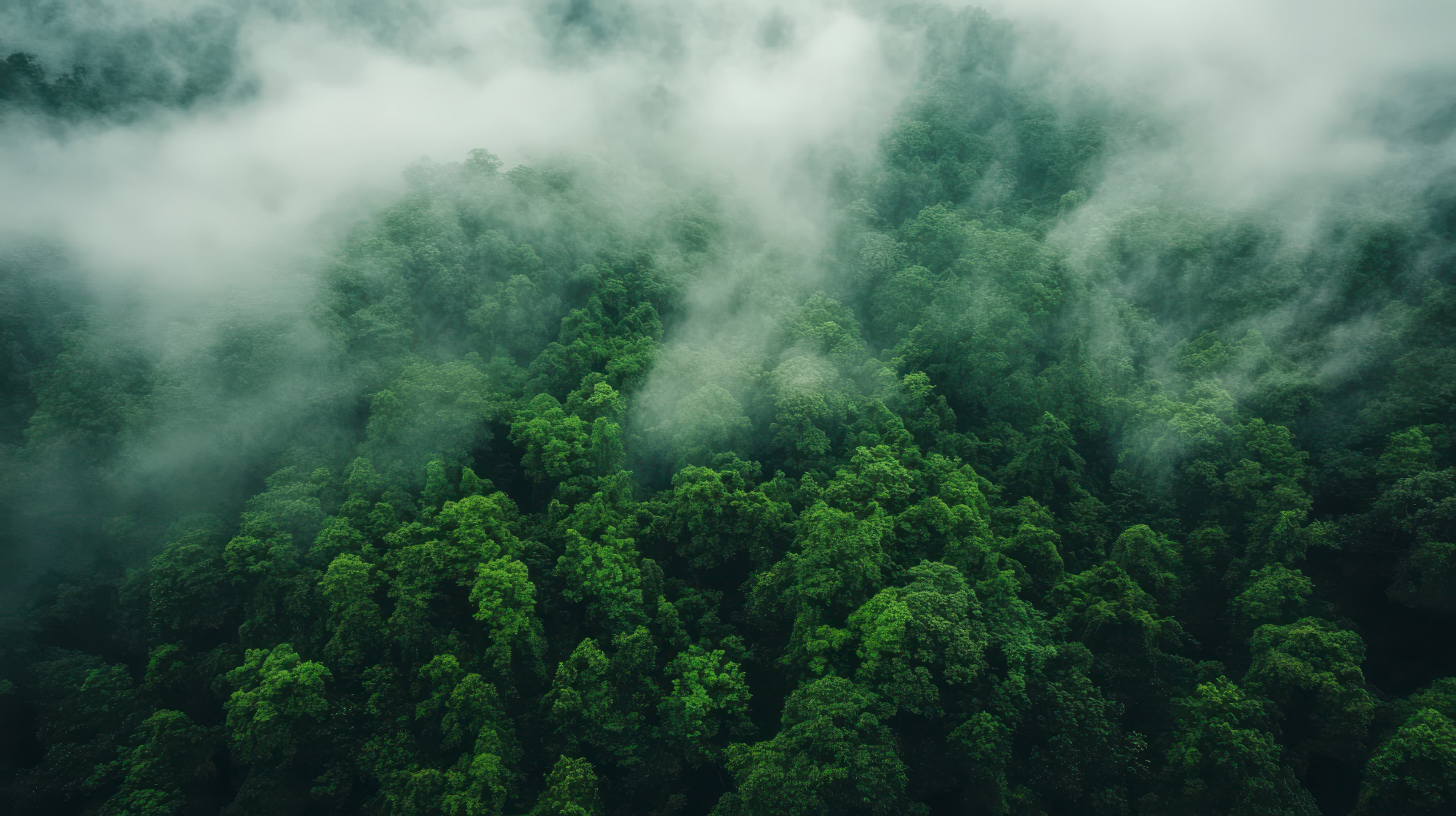 carbon